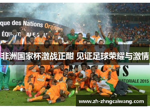 非洲国家杯激战正酣 见证足球荣耀与激情